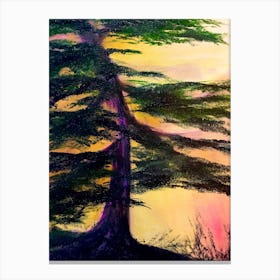 Sunset Cypress Canvas Print