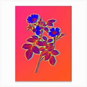 Neon Short Styled Field Rose Botanical in Hot Pink and Electric Blue n.0042 Canvas Print