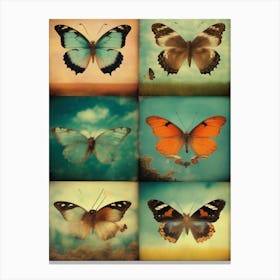 Butterflies In The Sky Canvas Print