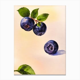 Blueberry Italian Watercolour fruit Canvas Print