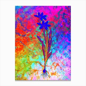 Ixia Liliago Botanical in Acid Neon Pink Green and Blue Canvas Print