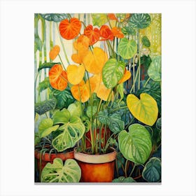 Tropical Plant Painting Chinese Money Plant Canvas Print