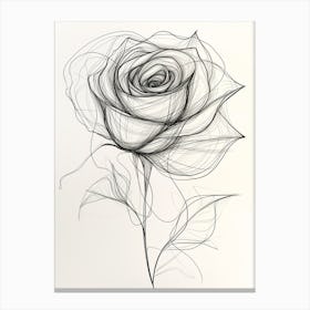 English Rose Black And White Line Drawing 2 Canvas Print