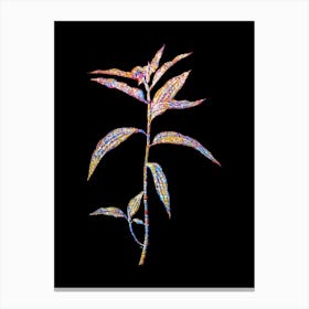 Stained Glass Dayflower Mosaic Botanical Illustration on Black n.0343 Canvas Print