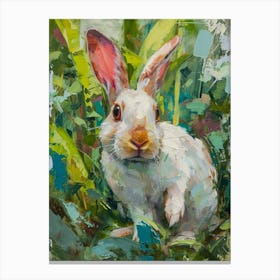 Florida White Rabbit Painting 1 Canvas Print