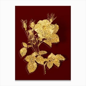 Vintage White Rose of York Botanical in Gold on Red n.0467 Canvas Print