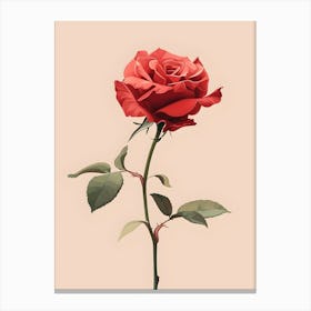 Single Rose Canvas Print