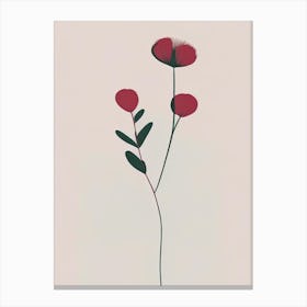 Red Clover Herb Simplicity Canvas Print