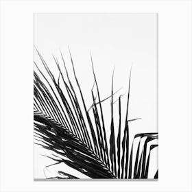 Palm Leaf In Black And White Canvas Print