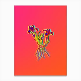 Neon Sand Iris Botanical in Hot Pink and Electric Blue n.0520 Canvas Print
