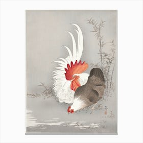 Rooster And Chicken (1900 1930), Ohara Koson Canvas Print