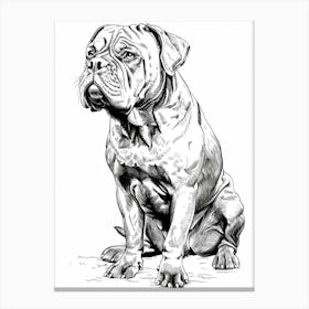 Dogue De Bordeaux Line Sketch 3 Canvas Print