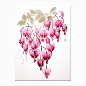 Bleeding Hearts Flower Vintage Botanical 2 Canvas Print