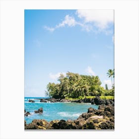 Hawaii Road To Hana Trees Canvas Print