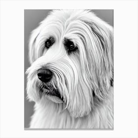 Briard B&W Pencil dog Canvas Print