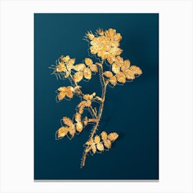 Vintage Pink Sweetbriar Roses Botanical in Gold on Teal Blue n.0166 Canvas Print