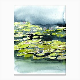 Water Lily walk Canvas Print