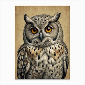 Owl Portrait Canvas Print