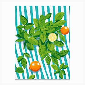 Basil Summer Illustration 1 Canvas Print