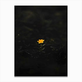 Yellow Flower In The Dark 2 Canvas Print