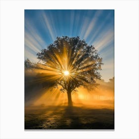 Sunrise Over A Tree 1 Canvas Print