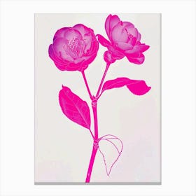 Hot Pink Camellia 1 Canvas Print