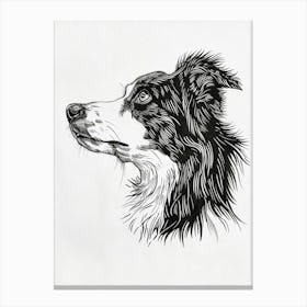 Miniature American Shepherd Dog Line Sketch 1 Canvas Print