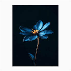 Dark Blue Flower 7 Canvas Print