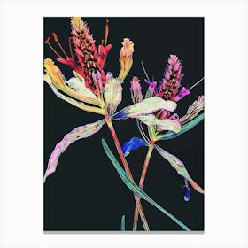 Neon Flowers On Black Prairie Clover 1 Canvas Print