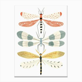 Colourful Insect Illustration Damselfly 11 Canvas Print