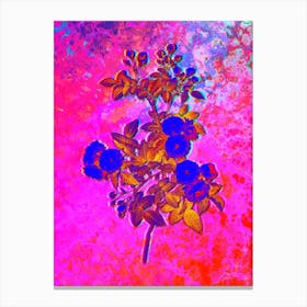 Pink Baby Roses Botanical in Acid Neon Pink Green and Blue n.0125 Canvas Print