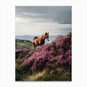 Horse On A Hill Canvas Print