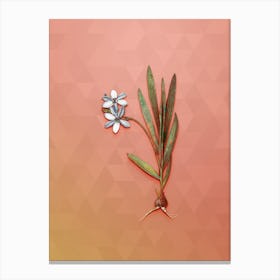 Vintage Gladiolus Plicatus Botanical Art on Peach Pink n.0179 Canvas Print