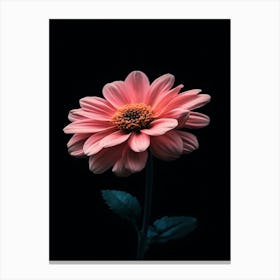 Gerbera Daisy 4 Canvas Print