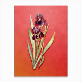 Vintage German Iris Botanical Art on Fiery Red n.1091 Canvas Print