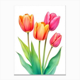 Tulips 3 Canvas Print