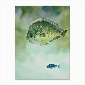 Giant Ocean Sunfish II Storybook Watercolour Canvas Print