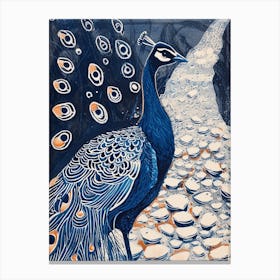 Navy Blue Peacock On A Path Canvas Print