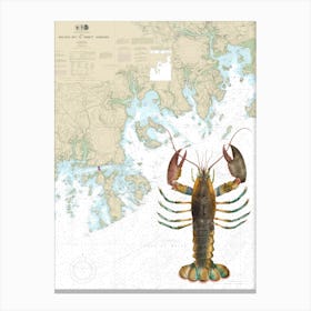 American Lobster By James Ellsworth DeKay On A Full-Size Gulf of Maine Nautical Chart Canvas Print