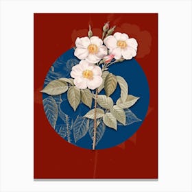 Vintage Botanical Rose of Castile on Circle Blue on Red n.0050 Canvas Print