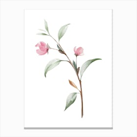 Watercolor Pink Flowers On A Branch Canvas Print