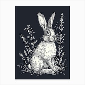 Harlequin Rabbit Minimalist Illustration 3 Canvas Print