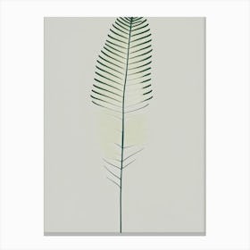 Common Horsetail Fern Simplicity Canvas Print