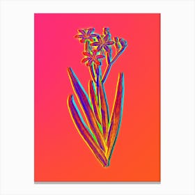 Neon Blackberry Lily Botanical in Hot Pink and Electric Blue Canvas Print