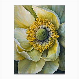 Anemone Flower Canvas Print