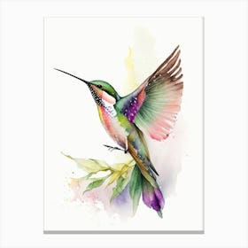 Broad Tailed Hummingbird Cute Neon Canvas Print
