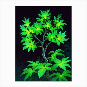 Green Leaves Of A Tree Canvas Print