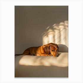 Dachshund.Generated AI. Wall Art Print 5 Canvas Print