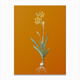 Vintage Coppertips Botanical on Sunset Orange n.0189 Canvas Print