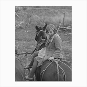 Untitled Photo, Possibly Related To Girl Astride Mule, Farm Near Northome, Minnesota By Russell Lee Canvas Print
